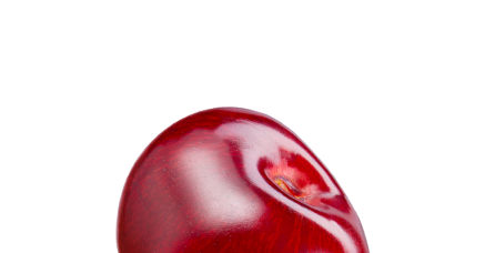 Tresnjica 3