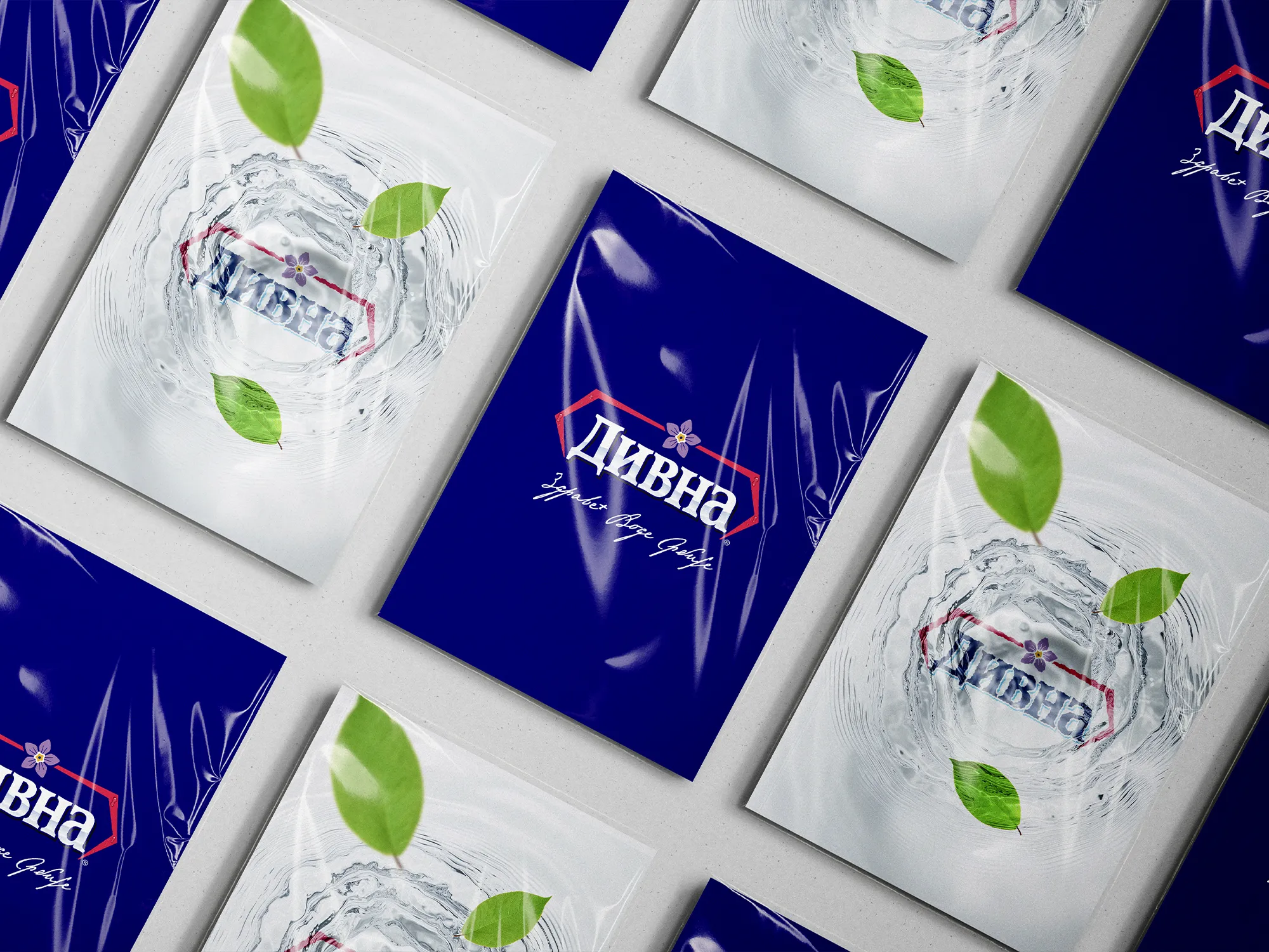 Prikazi logotipa Divna voda na sivoj i tamno plavoj pozadini